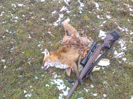 ,,,prijala až druhu ranu,,,