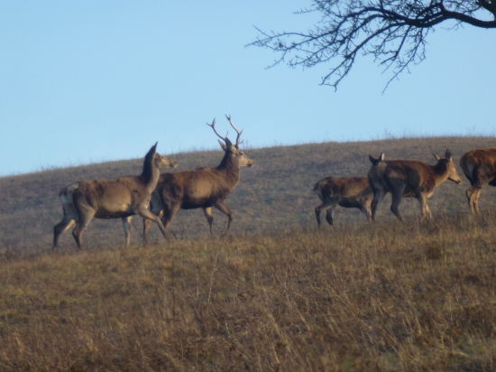 ,,,už odchádzam,,,,