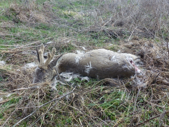 ,,,,,,a tu je odkrytý,,,,