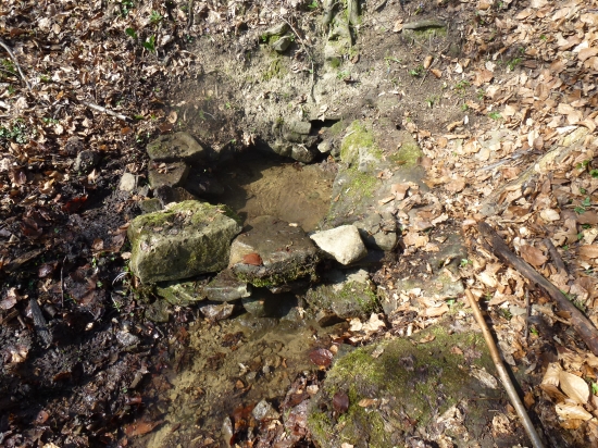 ,,každo ročný rituál,,,,