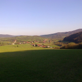 ,,,už sa záčina zelenať,,,