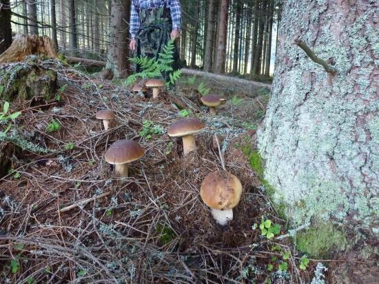 ,,,Ked ide karta,,a teraz ide,,,