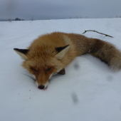 Ked to ide tak to ide,,