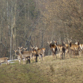 Pekne na slniečku,,,