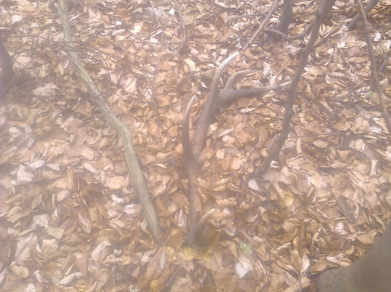 takto si tam ležal,,,