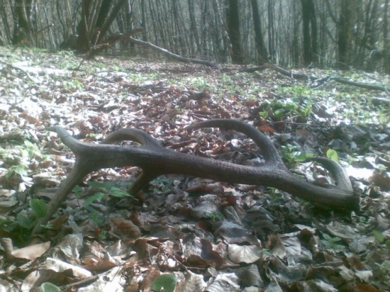 JEDEN Z TOHTOROCNYCH