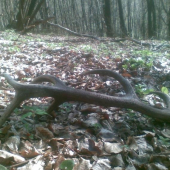 JEDEN Z TOHTOROCNYCH