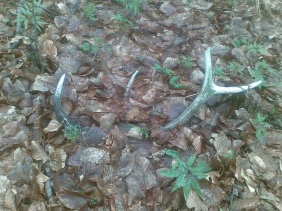 Aj take sa pocitaju......