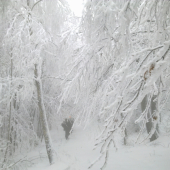 Takto bolo v sobotu 2