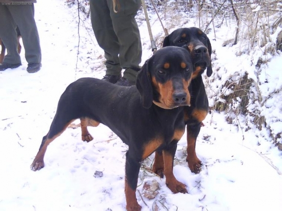 Jenny a za ňou Jelly Brunov dvor - sestričky