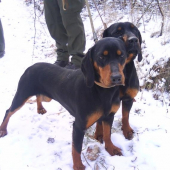 Jenny a za ňou Jelly Brunov dvor - sestričky