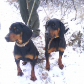 vľavo Jenny vpravo Jelly Brunov dvor - sestričky