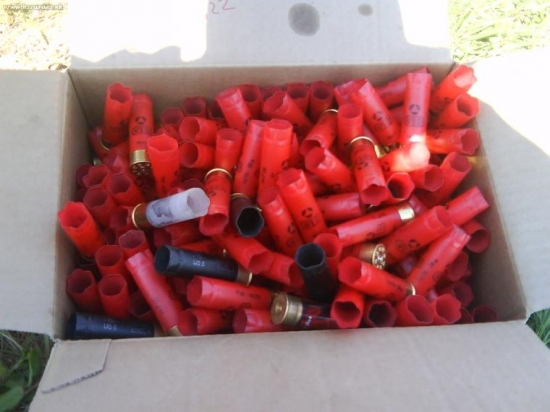 Velikánska modrina na ramene