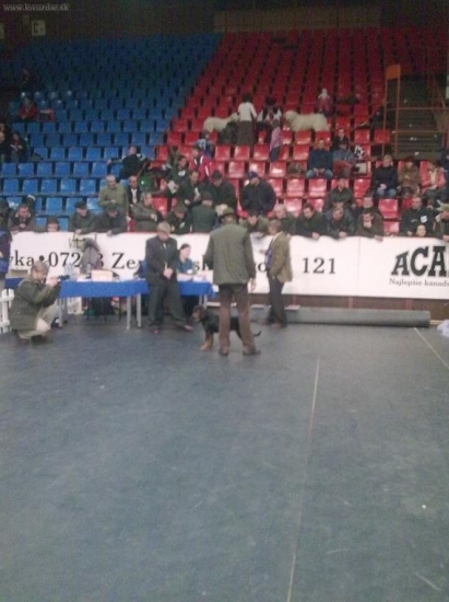 East cup Prešov 2010