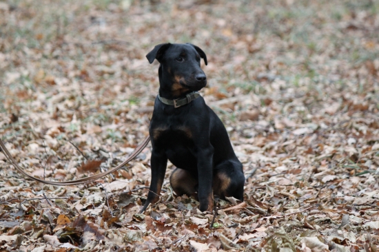 Můj sedmiměsíční pomocník Endy