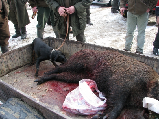 Tu vůni je si třeba neustále připomínat