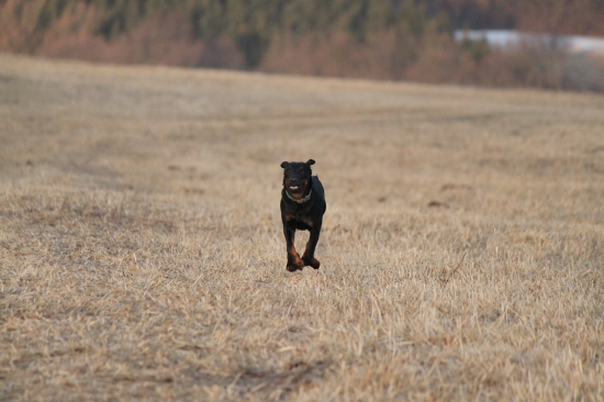 Už běžííííím!