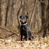 Endy na nedělní procházce revírem