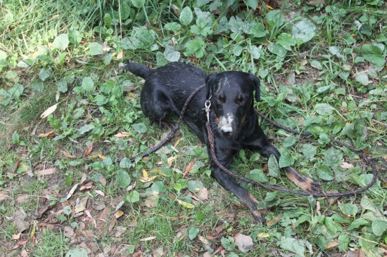 Endy po treningu v obůrce