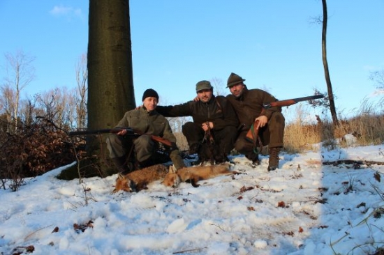 úspešná norovačka