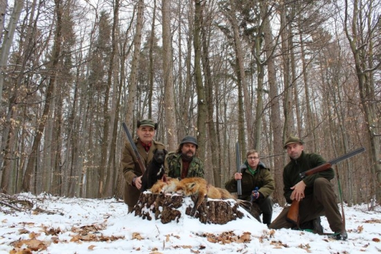 úspešná polovačka na líšky