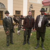 polovnicke dni