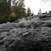 Studena bystrina