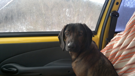 V aute je nam teplučko :)