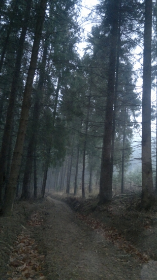 Tajomna .