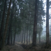 Tajomna .
