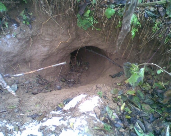 TAK TU BYVA TATKO BORSUK