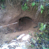 TAK TU BYVA TATKO BORSUK