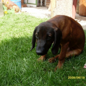 dia jakubiansky potok