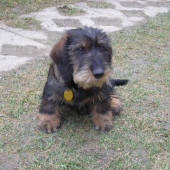 BENY