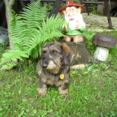 Beny