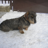 Beny