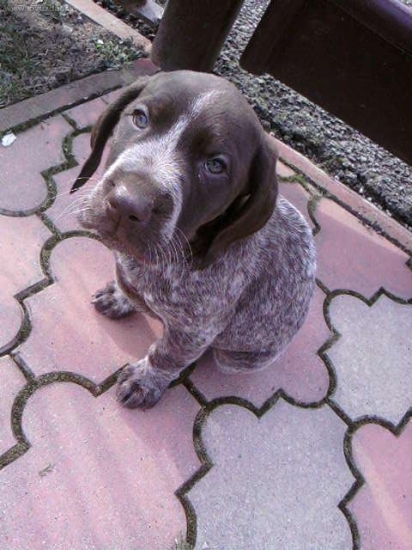 Atos-Náš maly stavačik.