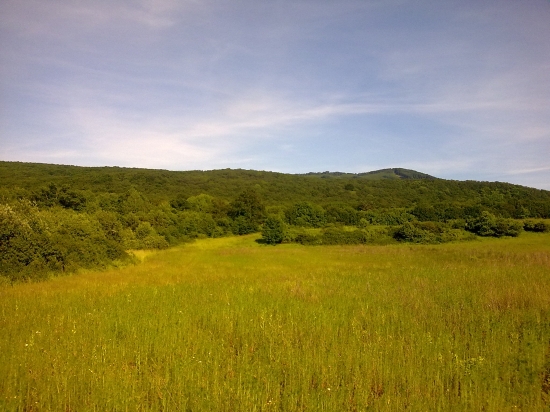 Bohdanovce