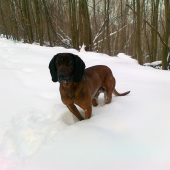 Max