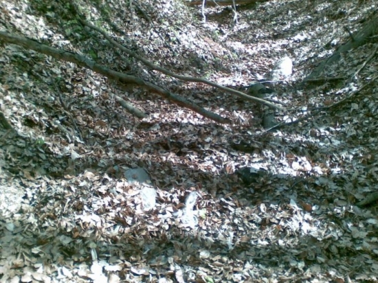 Pravdepodobne praca rysa