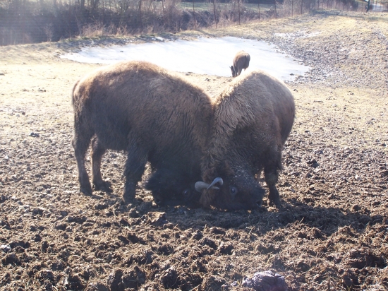 jen tak si pohrávali