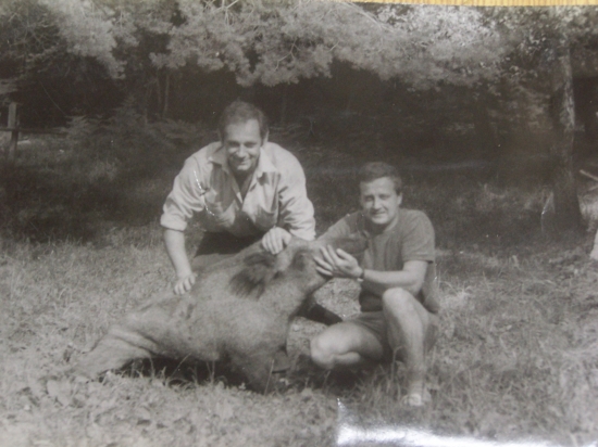 v létě se zmrzlým divočákem