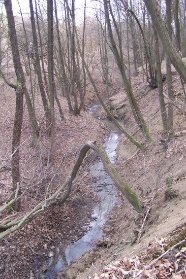 přírodní zdroj živený za pomoci  několika studánek
