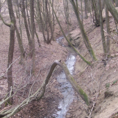 přírodní zdroj živený za pomoci  několika studánek