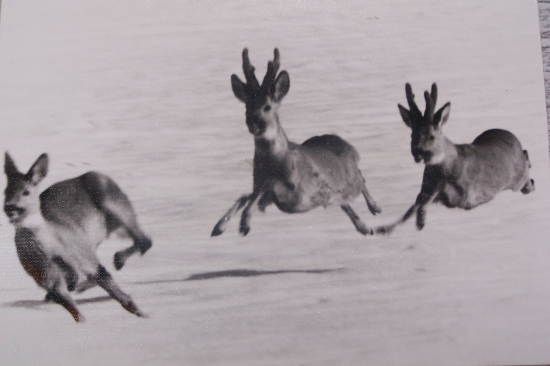 archivní foto z ranného mládí