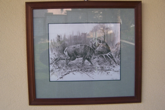 autor díla ...Aleša Vaic