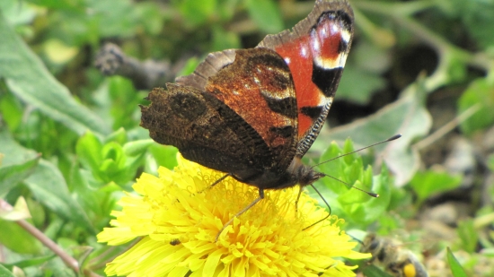 harmonije jarních barev