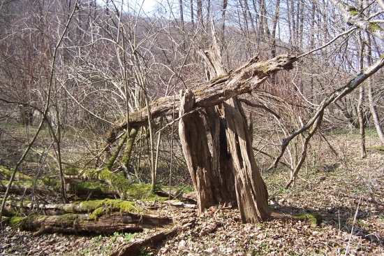 už to břemeno  dlouho neunesu