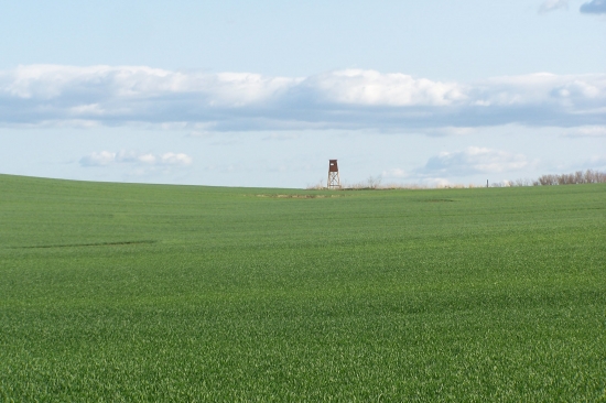 od pondělí budou posedy a kazatelny obsazené častěji