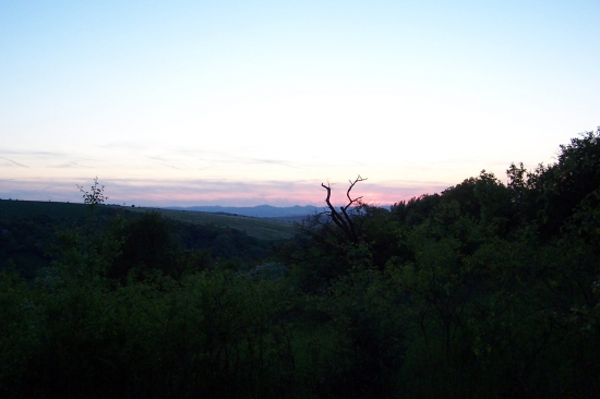 večerní návraty